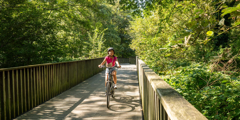 fietser rijdt over een vlakke brug in een bos
