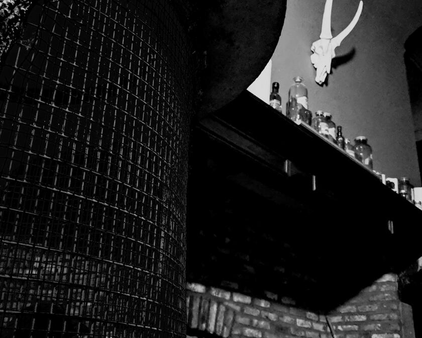 Zwart-witfoto van een smeedijzeren hek