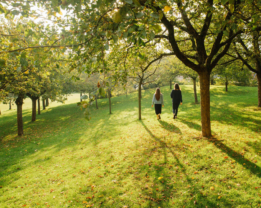Twee personen wandelen in het tuin van de Sint-Pietersabdij