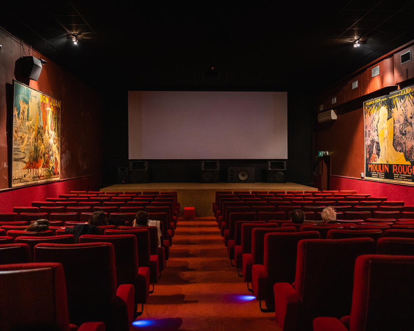 Cinemas: for film buffs