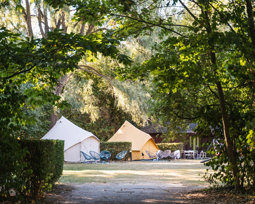Glamping tents at Camping Urban Garden Blaarmeersen