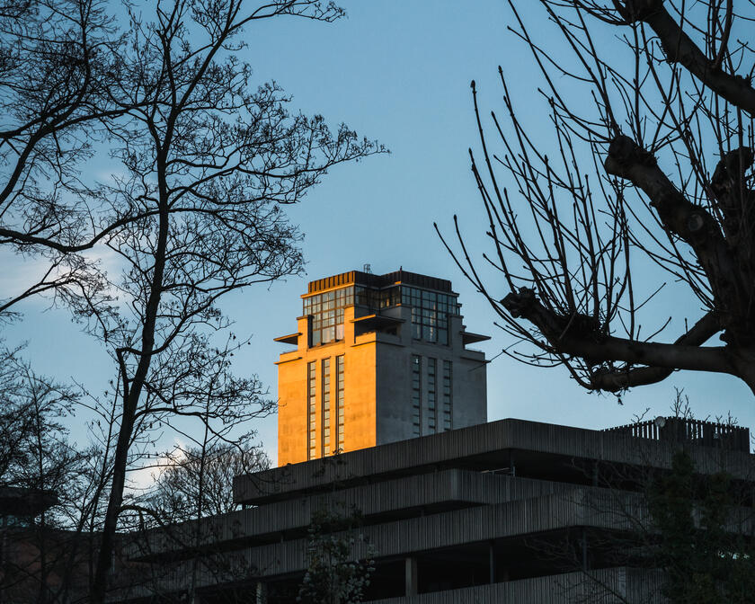 Laatste zonnestralen schijnen op de grijze Boekentoren 
