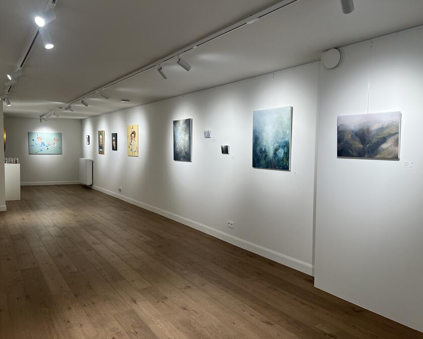 Francis Bekaert and Marjolein Labeeû exhibition