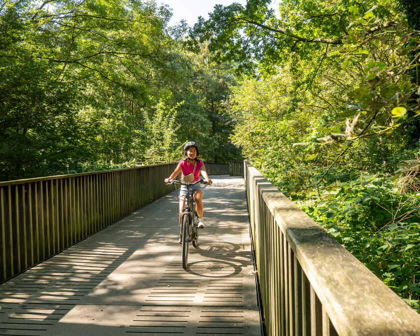 un ciclista pasa por un puente llano en un bosque
