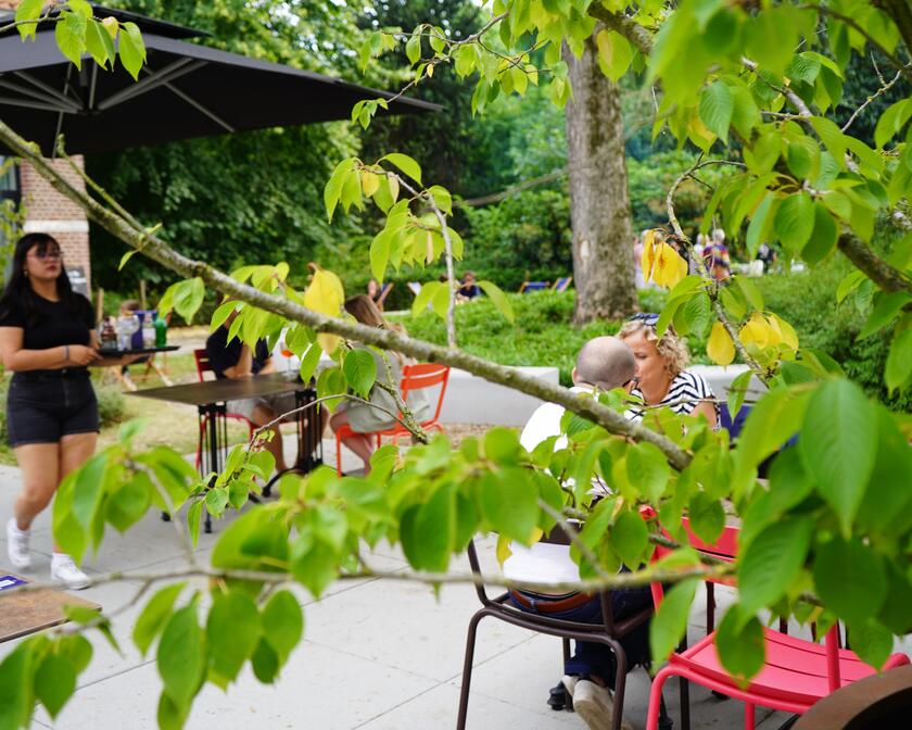 Terrace in the green