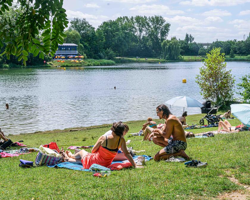 Mensen op het gras aan het water in de Blaarmeersen