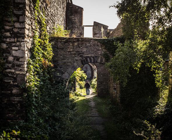 St Bavo’s Abbey, a hidden oasis
