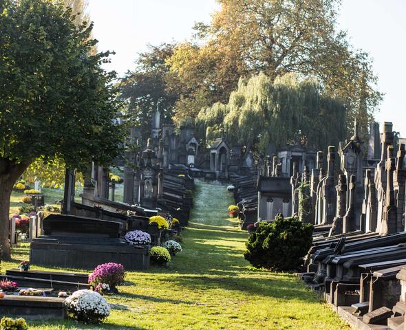Wandelpad tussen de graven met treurwilg in de achtergrond.