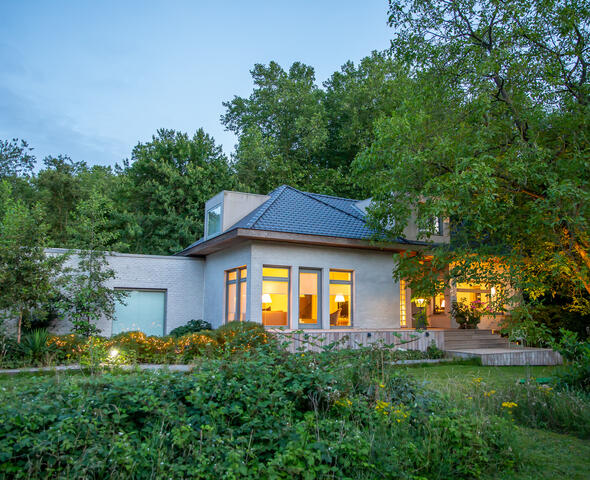 View from the garden