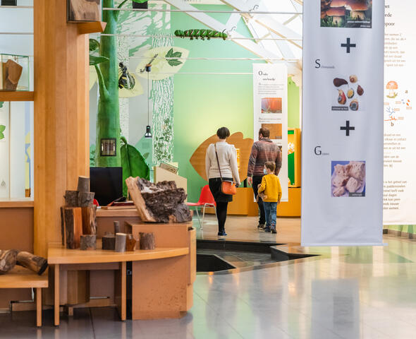 The World of Kina: the Garden