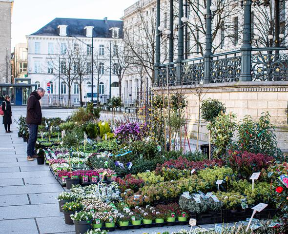 Bloemenmarkt Kouter in Gent