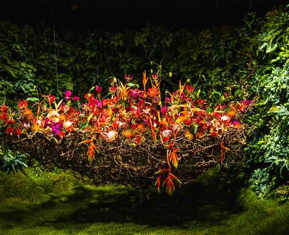 Oranje bloemen in bloemstuk tijdens de expo Floraliën Gent