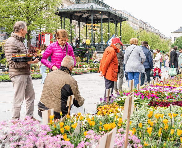 Des personnes choisissant des fleurs au marché aux fleurs