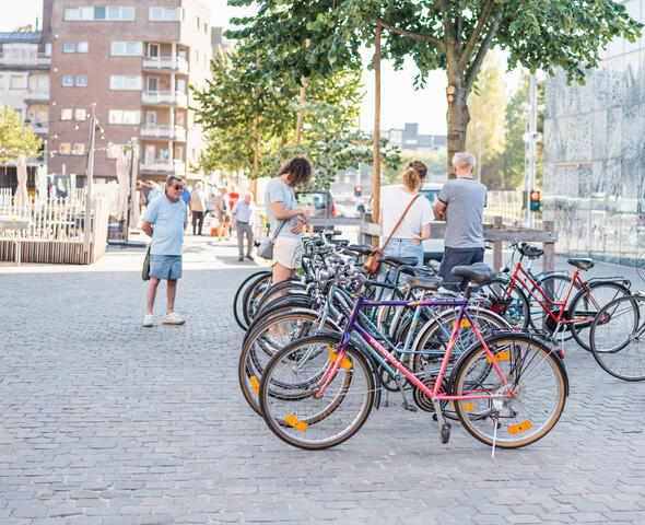 Les bicyclettes alignées sur le marché