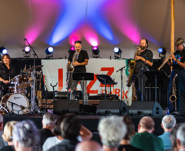 Musicians during Jazz in't Park