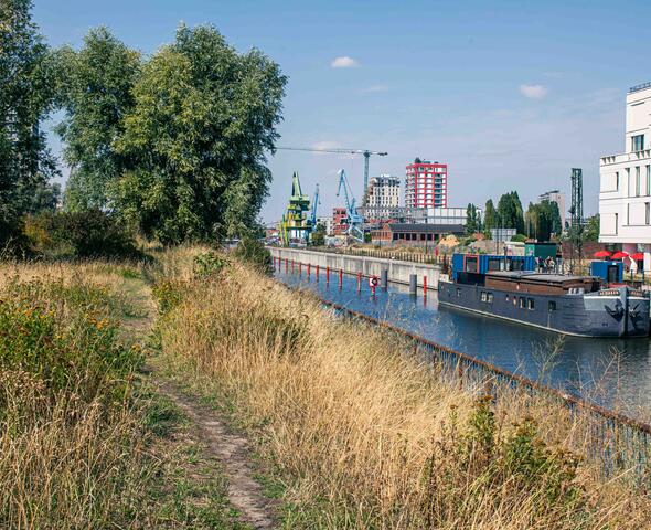 Achterdok vanop de graskant met zicht op de boten