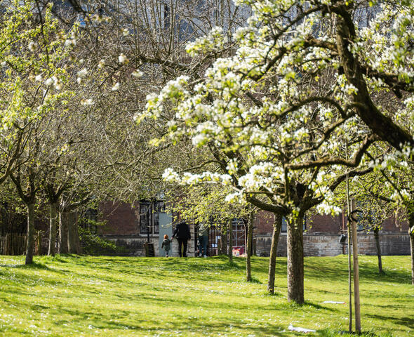 Jardín de la Abadía de San Pedro en flor