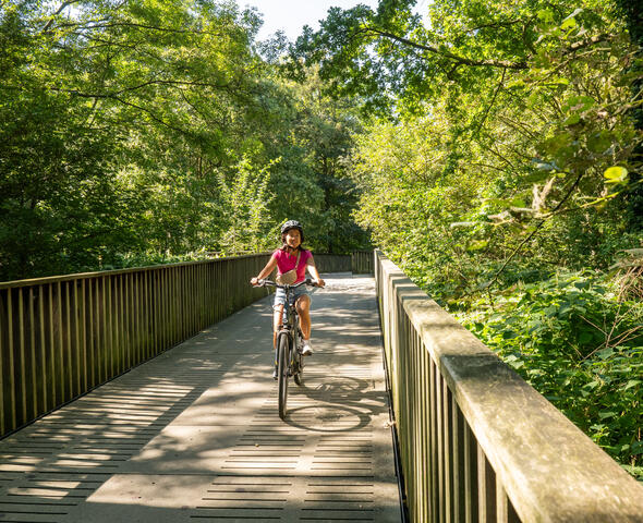 Radfahrer fährt über eine flache Brücke in einem Wald