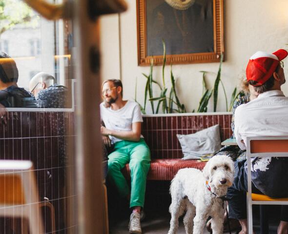 Invitados disfrutando del café
