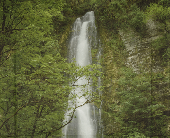 A waterfall in a green landscape