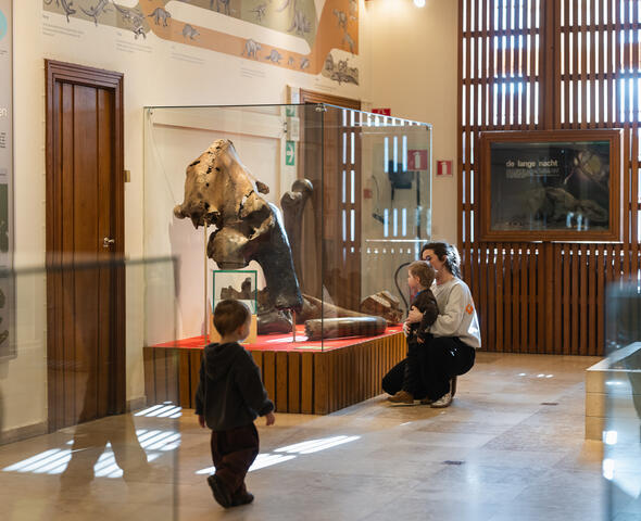 Family visiting the Kina Museum