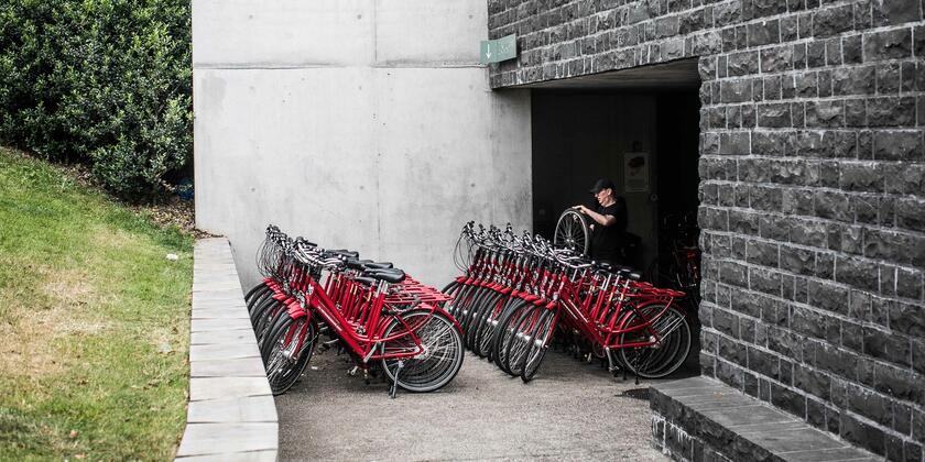 Red rentalbikes are ready to be used. The bycicle repairman is repairing one of the bikes
