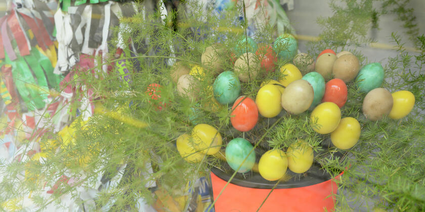 Easter eggs hidden in plant 