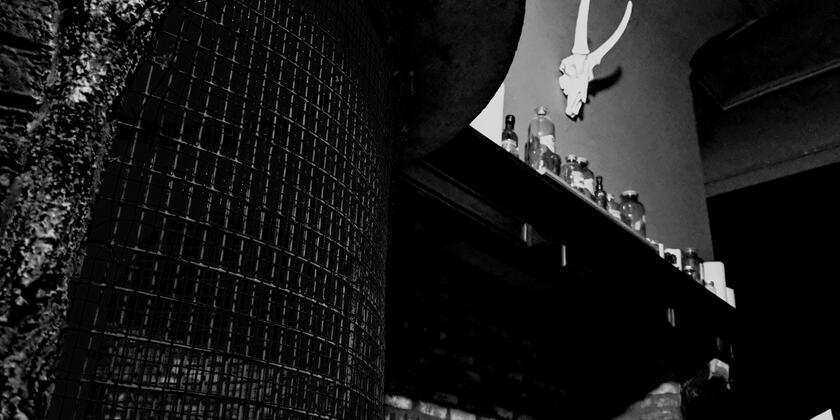 Zwart-witfoto van een smeedijzeren hek