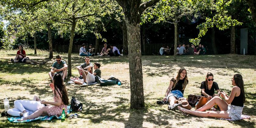 Groepjes mensen die picknicken op het gras onder de bomen bij St-Pietersabdij.