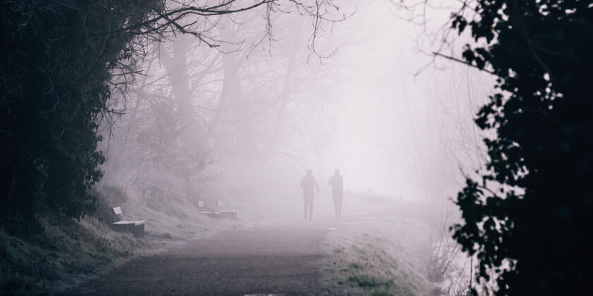 natuurpark bourgoyen-ossemeersen tijdens een mistige winterochtend