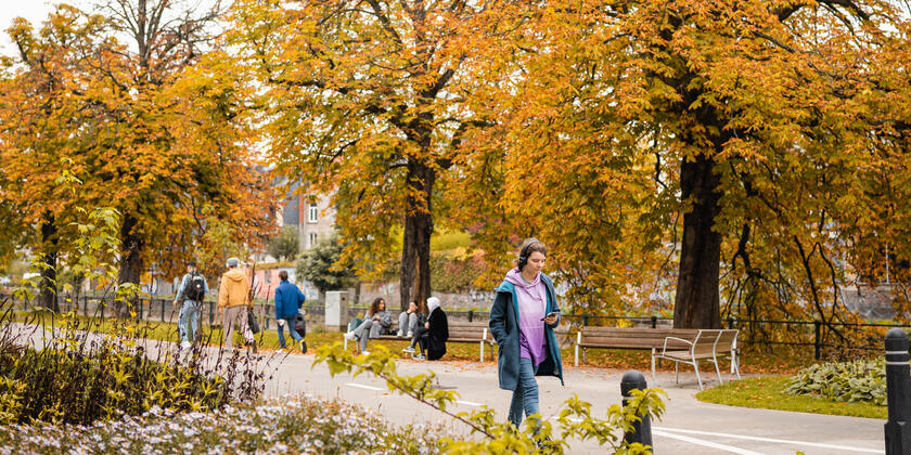 Persona paseando por un parque en otoño