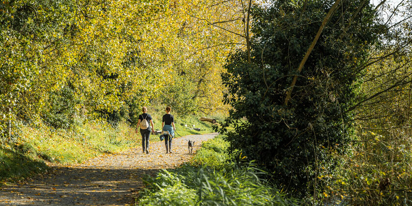 Couple walking with dog in De Bourgoyen nature park
