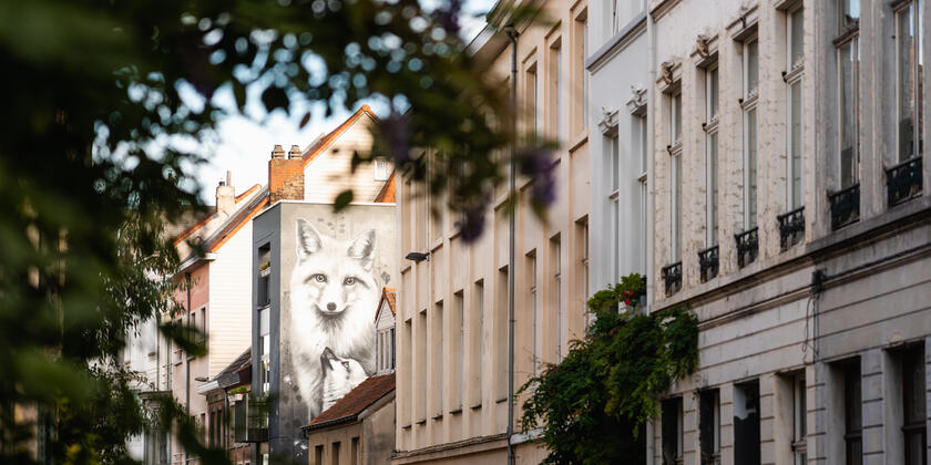 Street art werk van grijze vos op zijgevel van woning in Gent