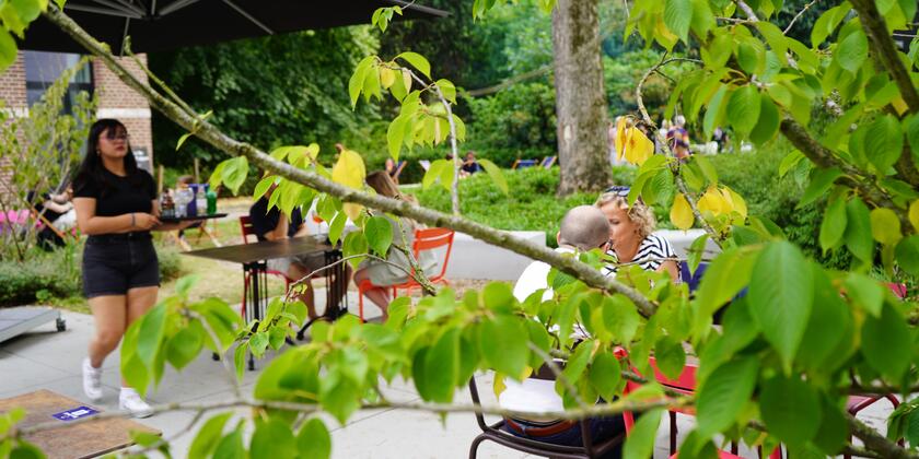 Terrace in the green