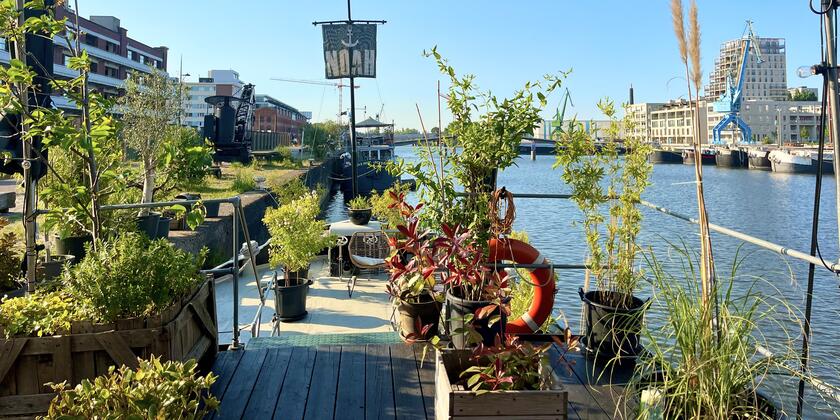 Zomerbar op een boot aan de Oude Dokken