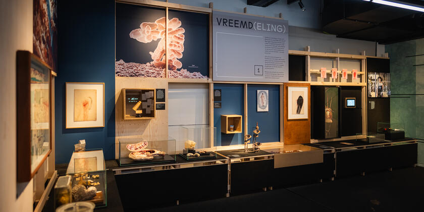 Vista de la sala de exposiciones