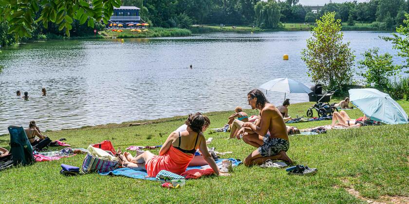 Mensen op het gras aan het water in de Blaarmeersen