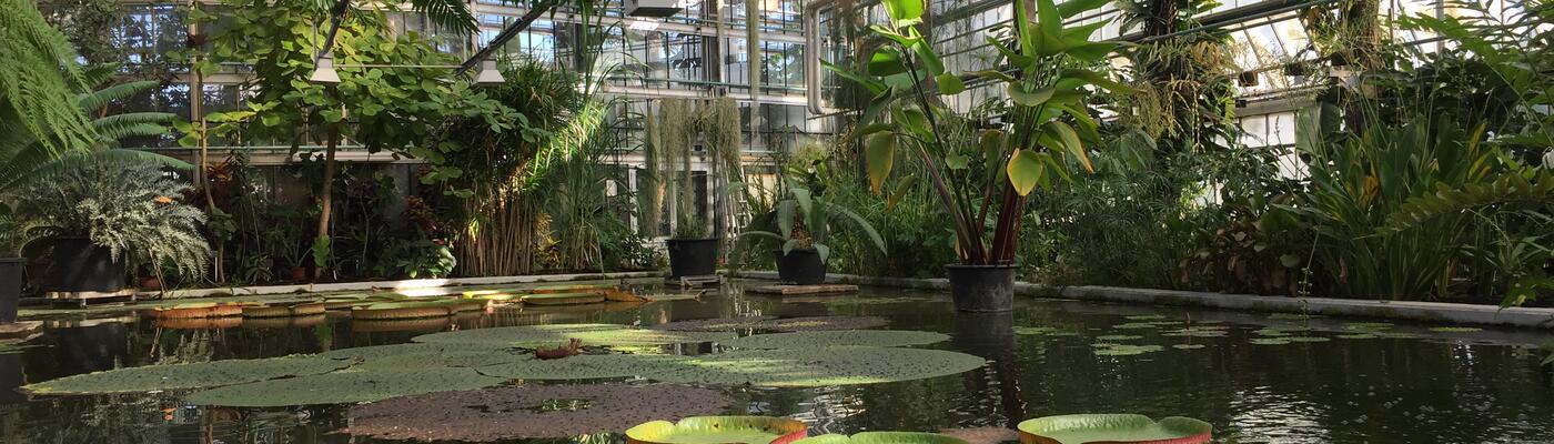 Botanischer Garten der Universität Gent