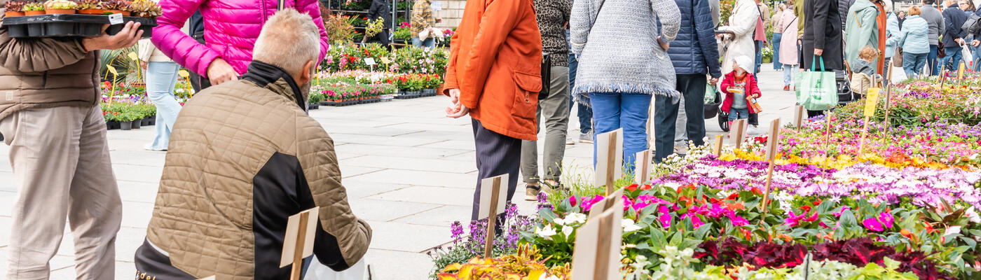 Personas seleccionando flores en el Mercado de las Flores