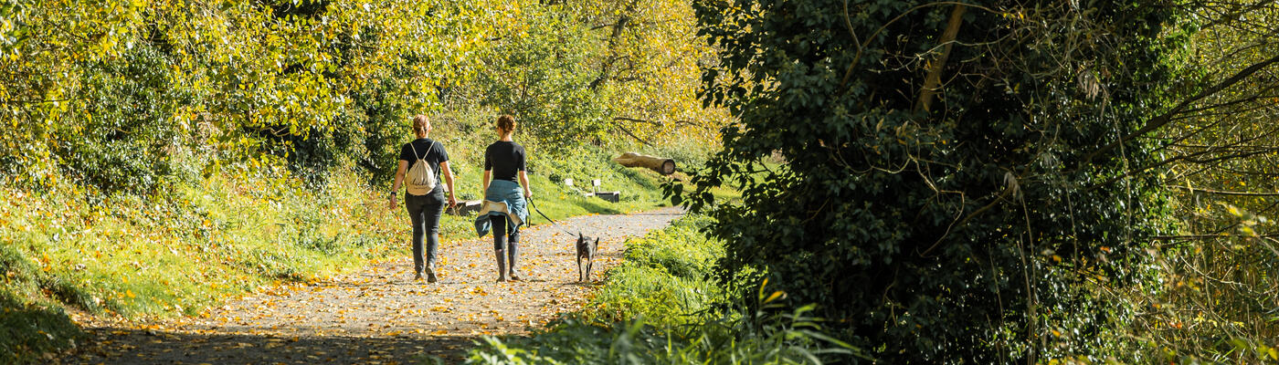 Koppel op wandel met hond in natuurpark De Bourgoyen