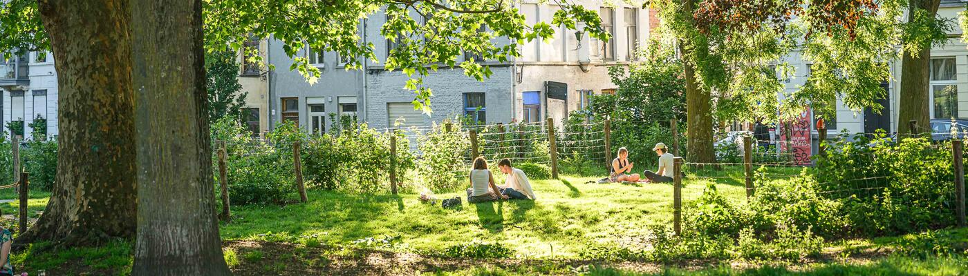 Mensen op het gras in het Baudelopark tijdens de zomer