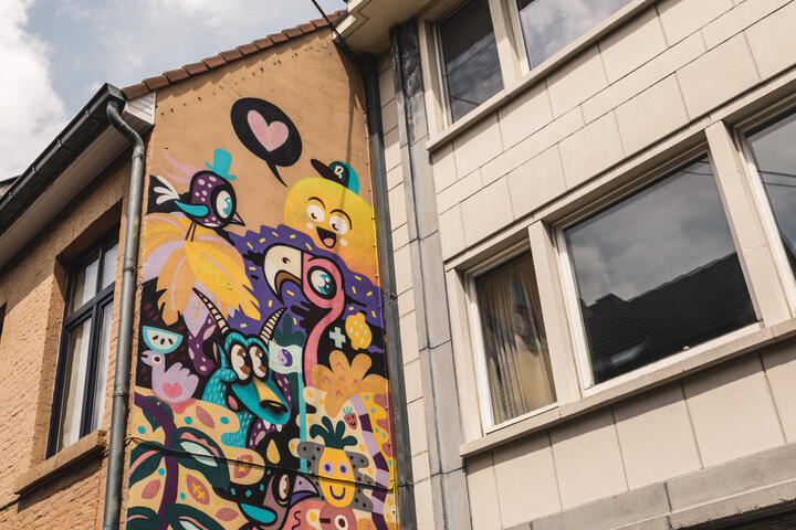 ©Stad Gent - Michiel Devijver street art van vogels, een flamingo en een ander dier