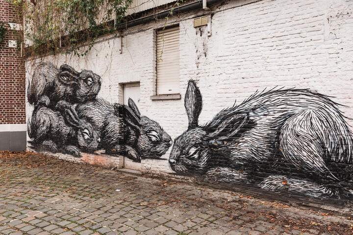©Stad Gent - Michiel Devijver street art van 4 konijnen op een witte muur