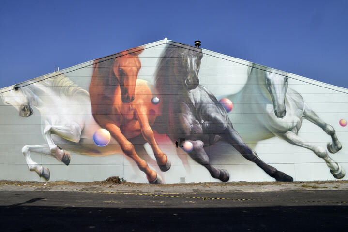 een blauwe lucht, een gebouw met daarop street art van een wit, een rood, een zwart en een grijs paard