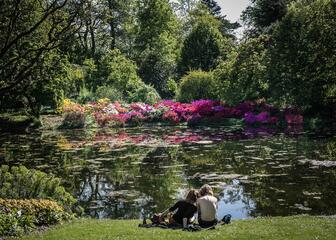 Pareja sentada al lado del estanque del jardín botánico