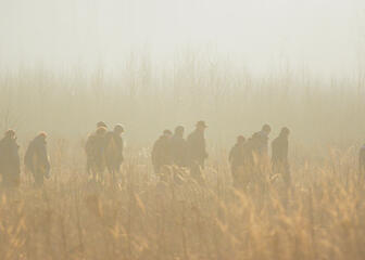 wandelaars in de mist