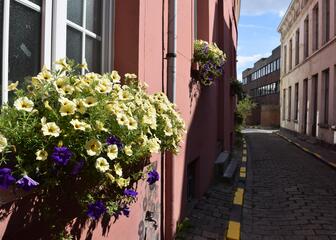 Een straat met kasseien en bloempotten.