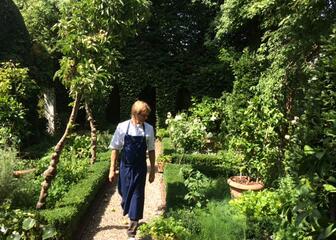 Chef wandelt door de tuin, kijkend naar de kruiden.