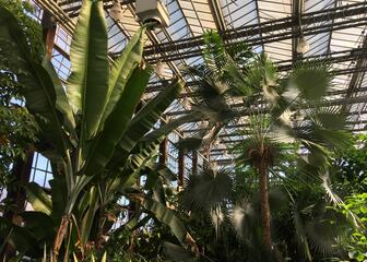 Jardín Botánico de la Universidad de Gante