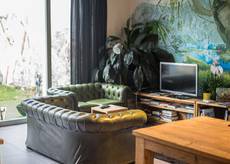 Gezellige lounge met Chesterfield zetels, een TV en veel groene planten.
